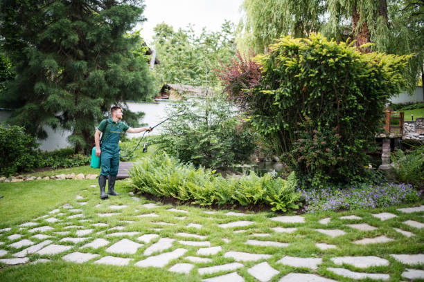 Best Pest Control Near Me in Bagley, MN